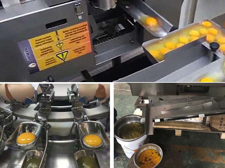 automatic egg breaking machine