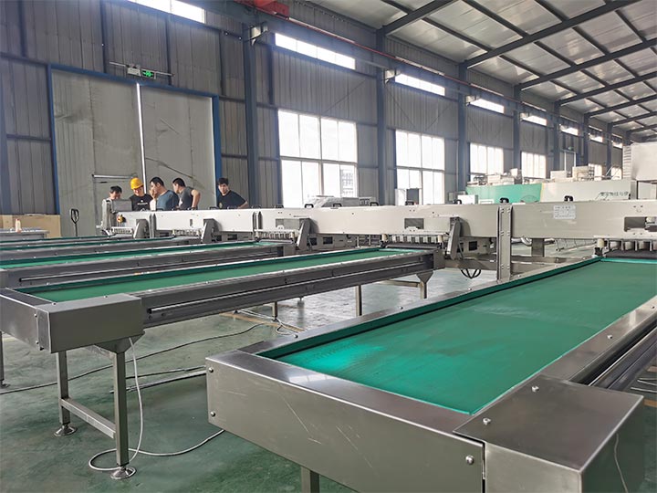 bulks of egg sorters