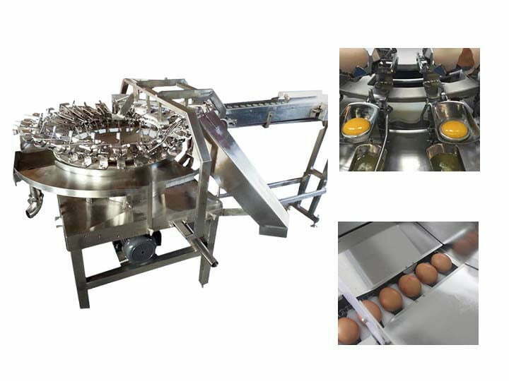 commercial egg breaking machine