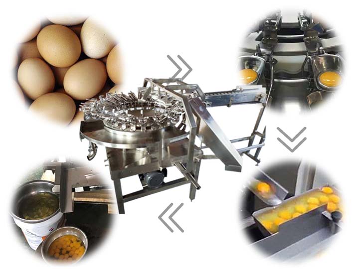 egg beater