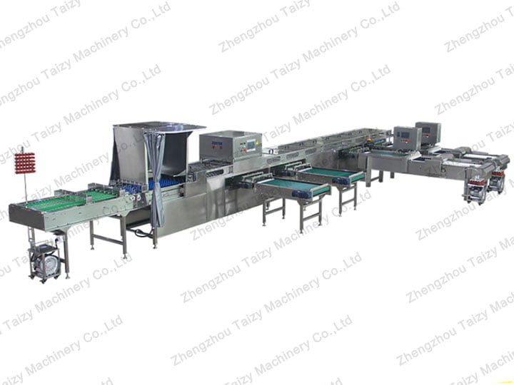 large scale egg grading line