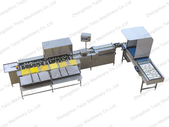 medium size egg sorting plant