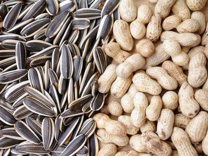 sunflower seed snack