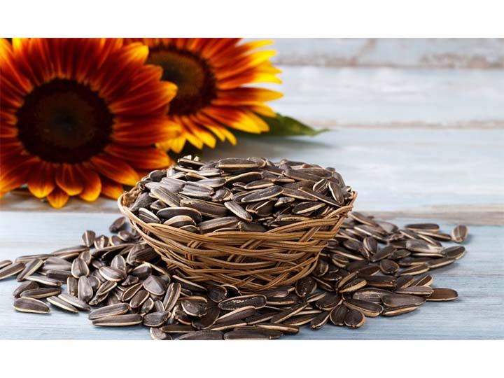 sunflower seed