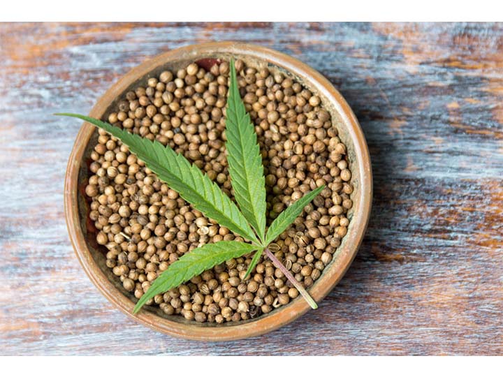 whole hemp seed