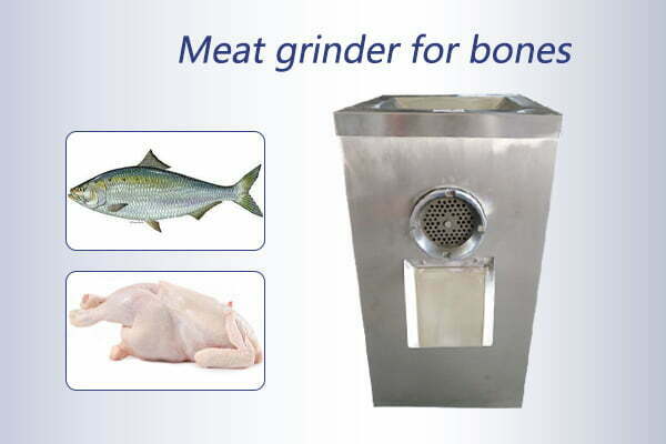 Meat grinder and bone grinder for a whole chicken, fish