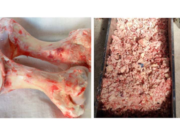 bone crushing machine crushing effect