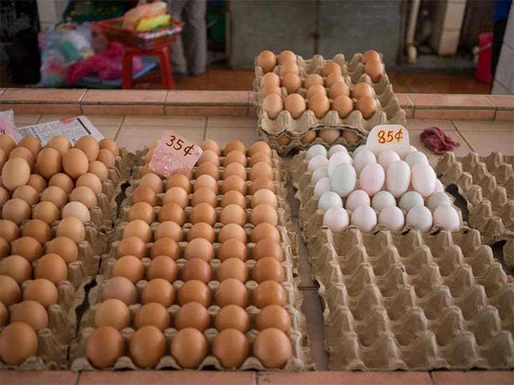 different grade eggs