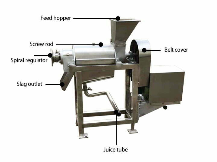 small fruit juicer