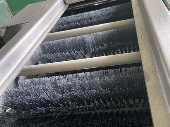brush