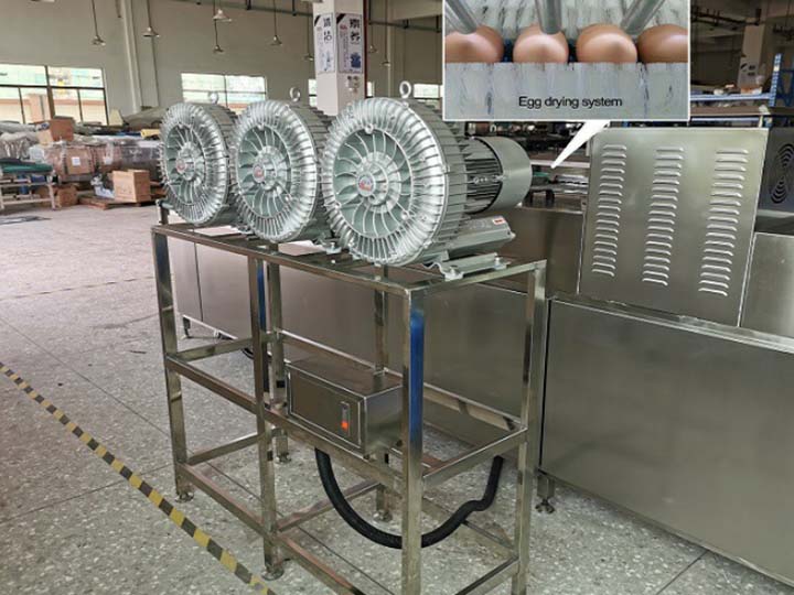 egg drying system