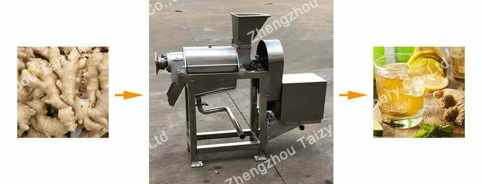 ginger juice extractor machine