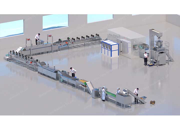 fully automatic french fries processing plant turkey