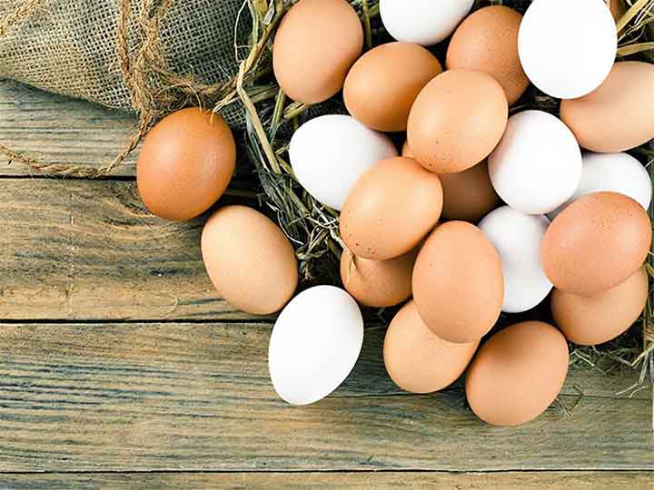 Malaysia egg industry