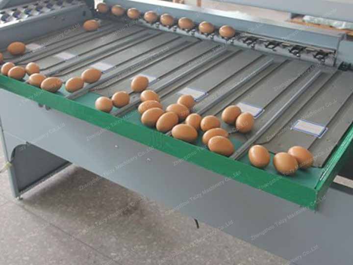 Why is the egg grading machine popular in Malaysia?