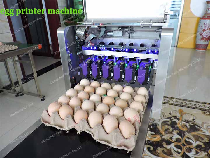 egg inkjet printer