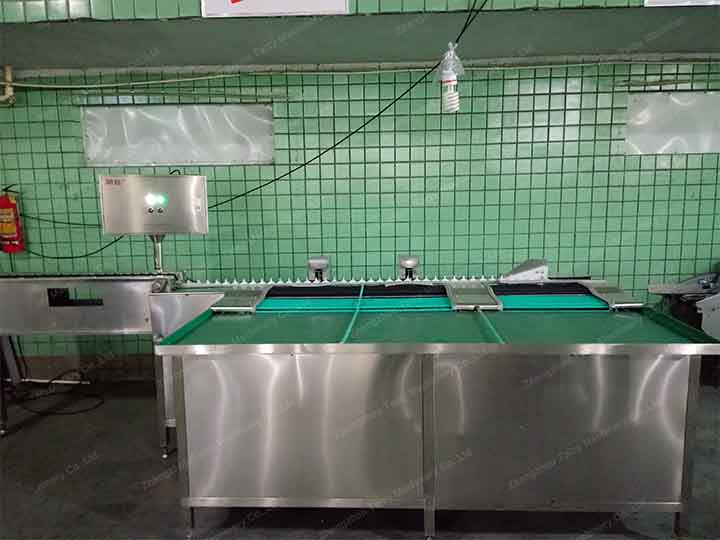 large automatic egg grading machine