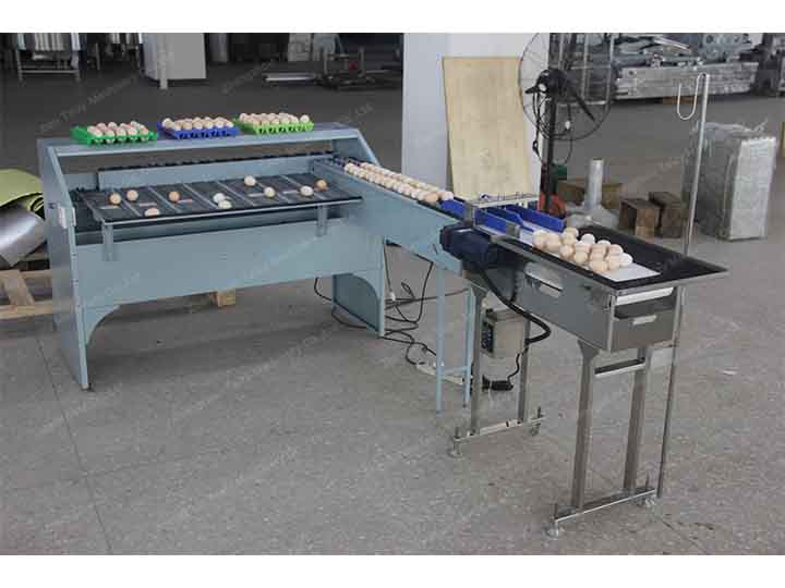 small egg sorting machine