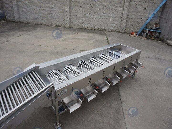 7 grades fruit grader