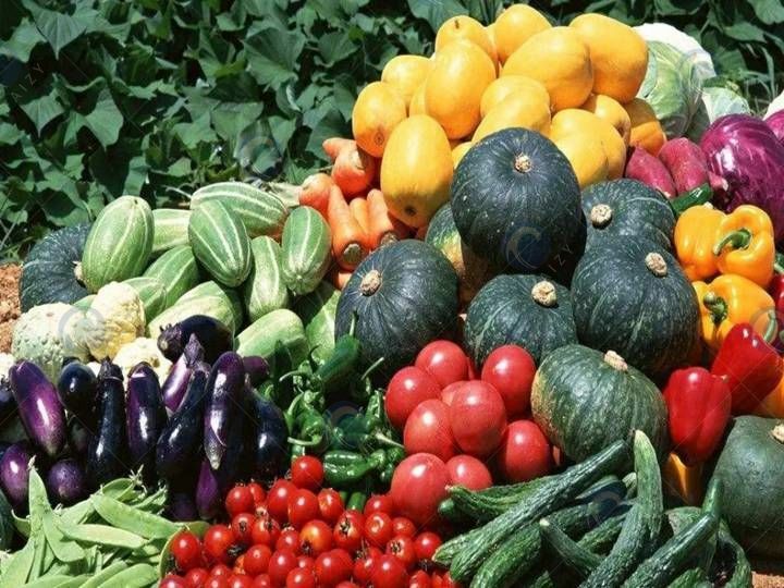 all kinds of vegetables and fruits