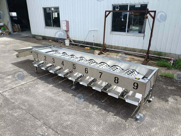 automatic fruit grading machine