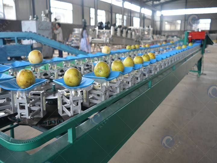 automatic vegetable & fruit grader machine