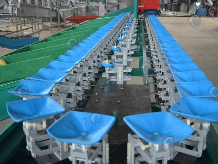 automatic weighing and feeding machine