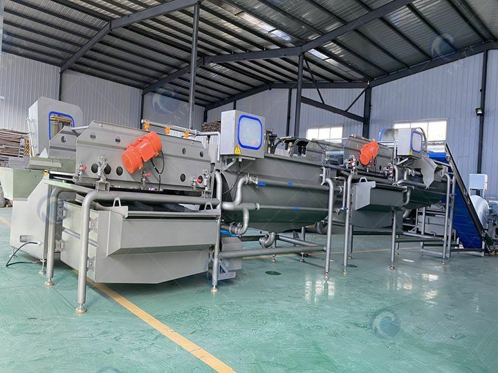 commercial lettuce processing plant for sale