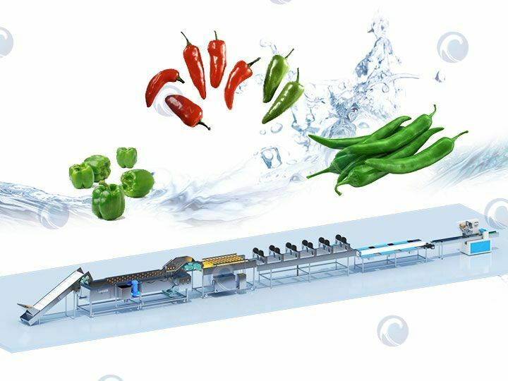 Fruit and Vegetable Washer Plant | Green Jalapeno Pepper Washing Machine