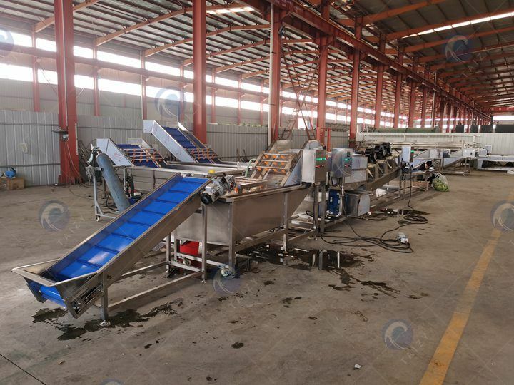 complete green pepper washing plant for sale