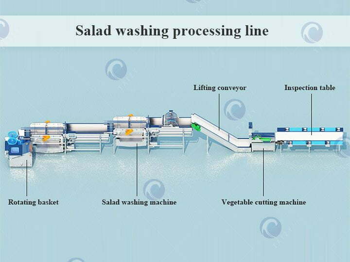 complete vortex washing & packing plant