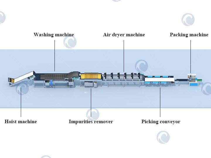 components of fruit and vegetable washer plant