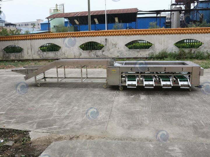grader machine for sorting fruits