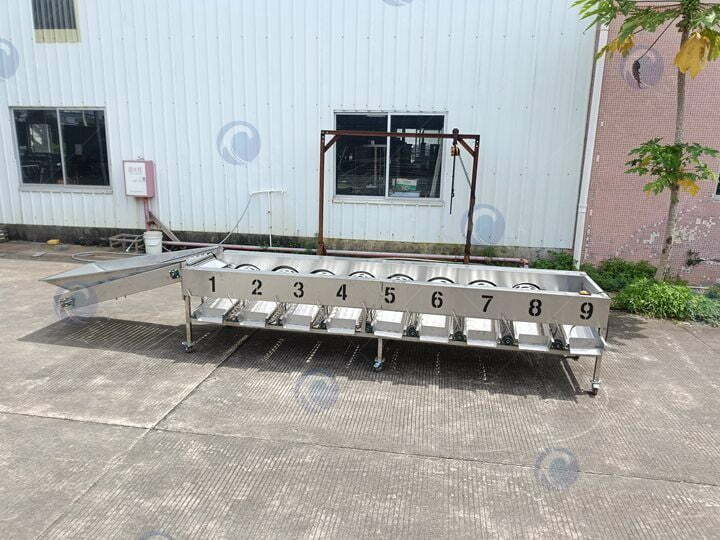 grading machine for sale
