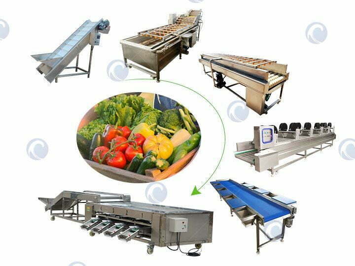 industrial processing plant for vegetables and fruits