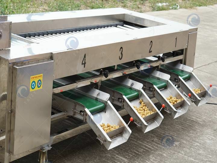 vegetable sorting machine