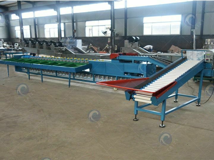 whole set of grading machine by weight