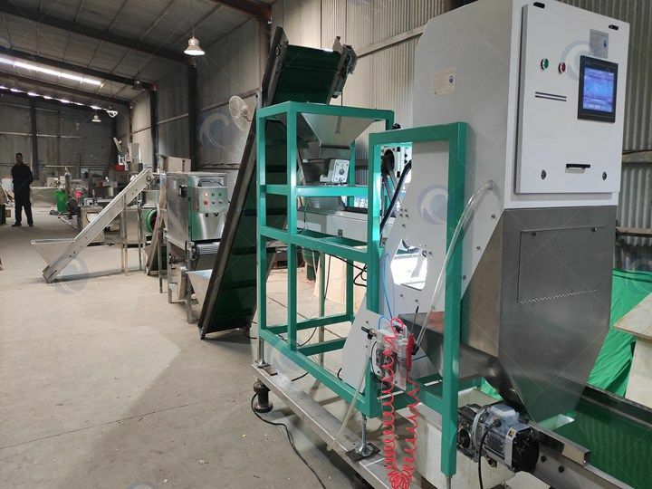 commercial clean garlic processing plant supplier