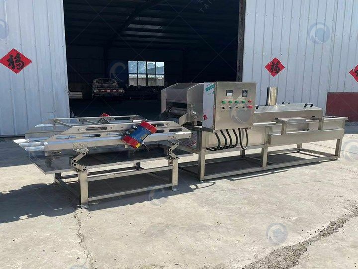 Salmon Skin Frying Machine Sold to America