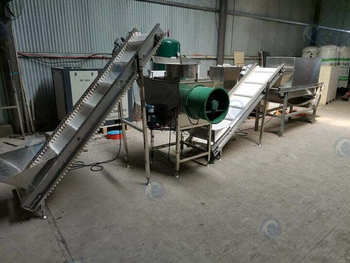 continuous garlic splitting peeling plant