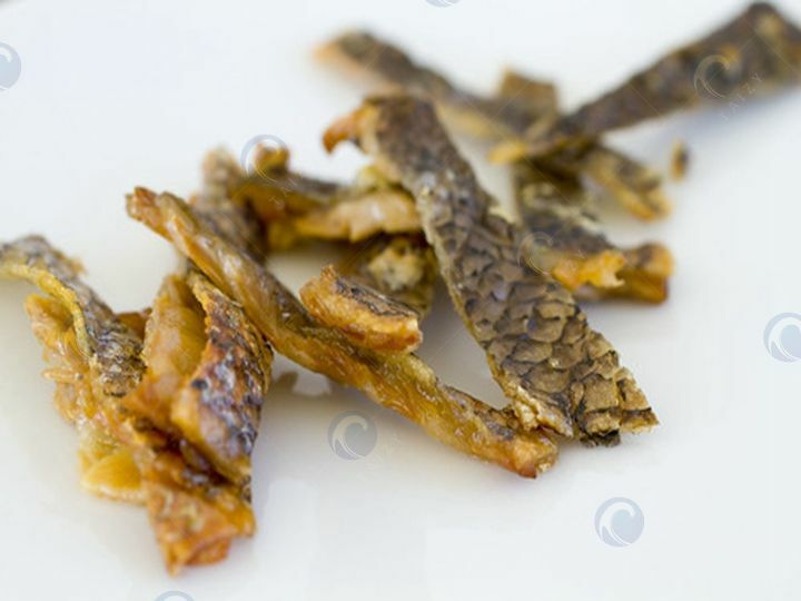 fried salmon skin