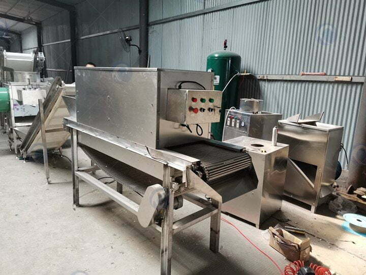 garlic processing equipment in Taizy factory