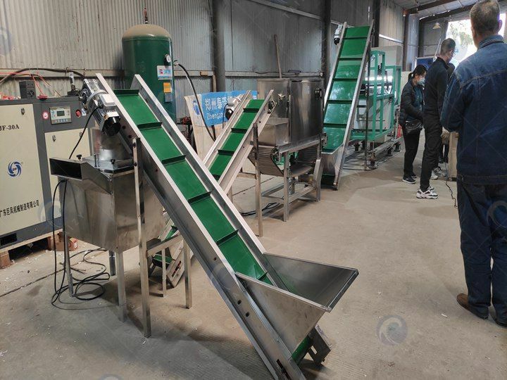 garlic processing line design