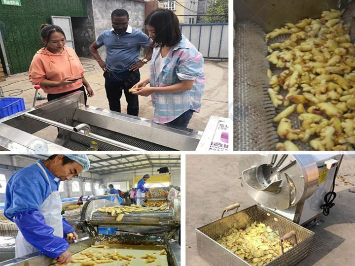 ginger powder processing plants