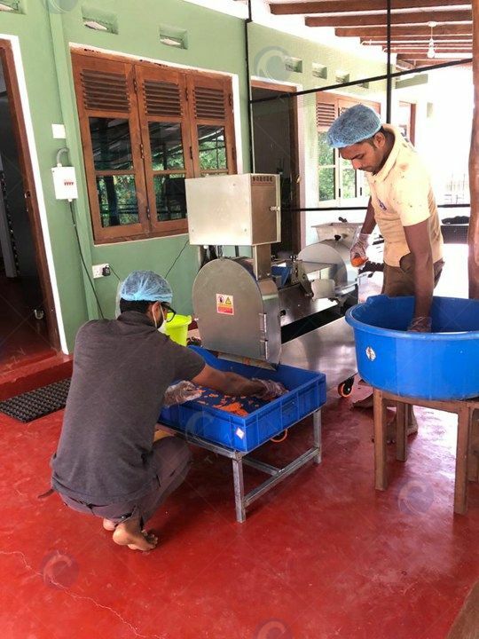 ginger slicer in Indonesia plant