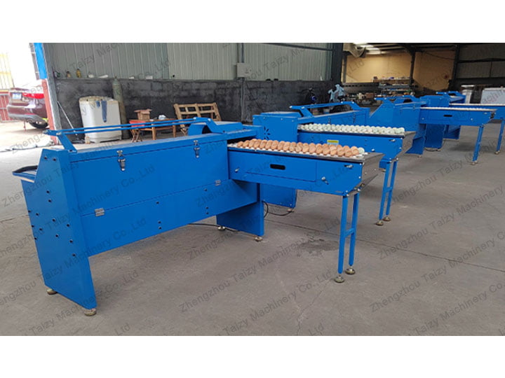 How to choose a good egg grader machine?