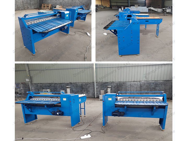 Taizy egg grader machine for sale
