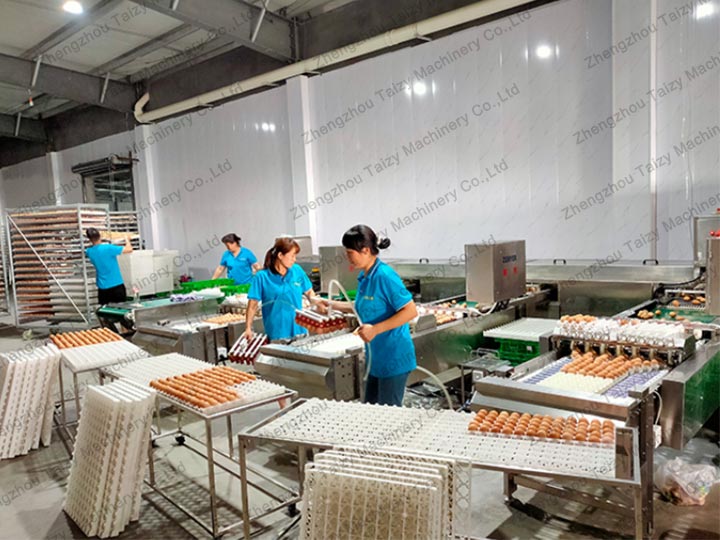 egg grading plant in the Philippines