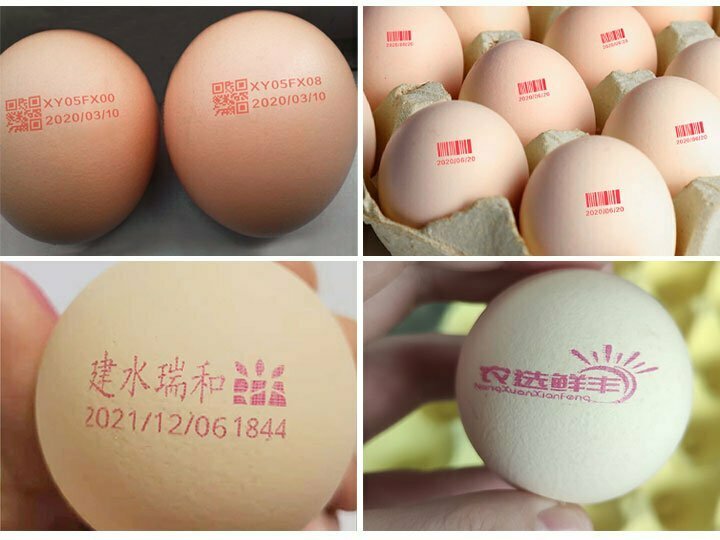 various egg coding