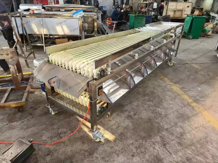 vegetable grading machine